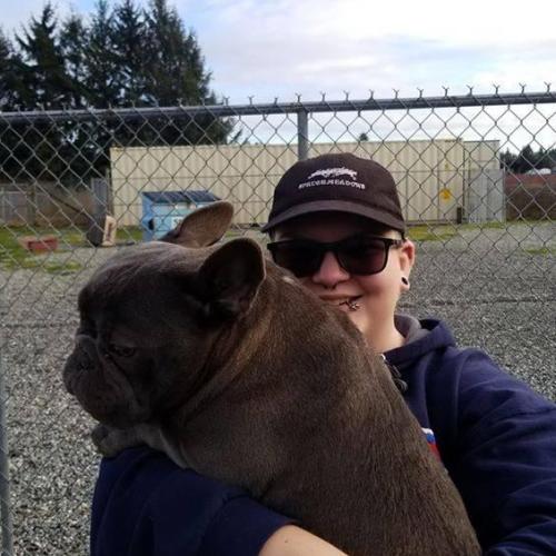  | Franco cuddles | Dog Boarding Kennel Services in Surrey and White Rock 