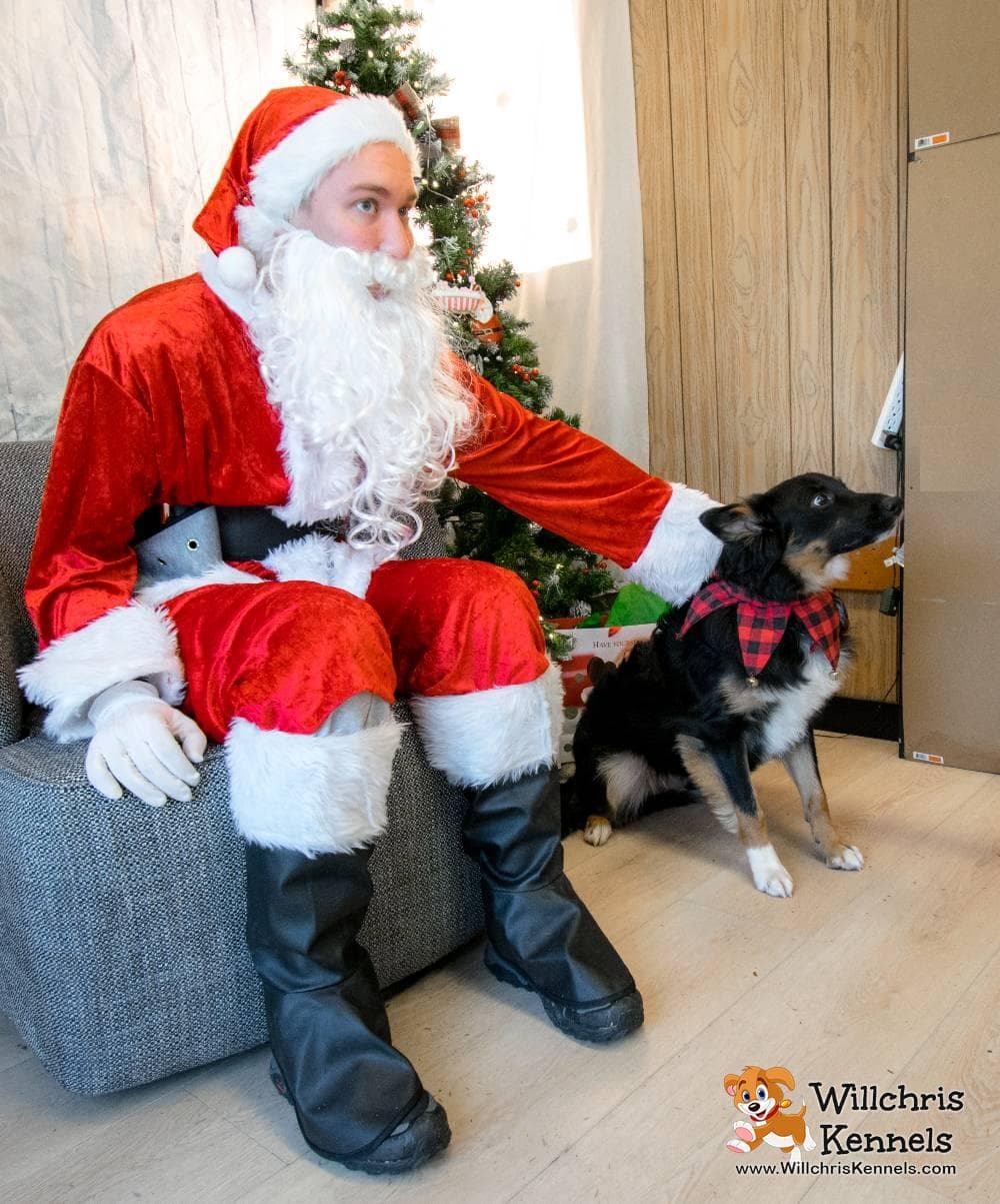 Our 2nd Annual Santa Picture Day