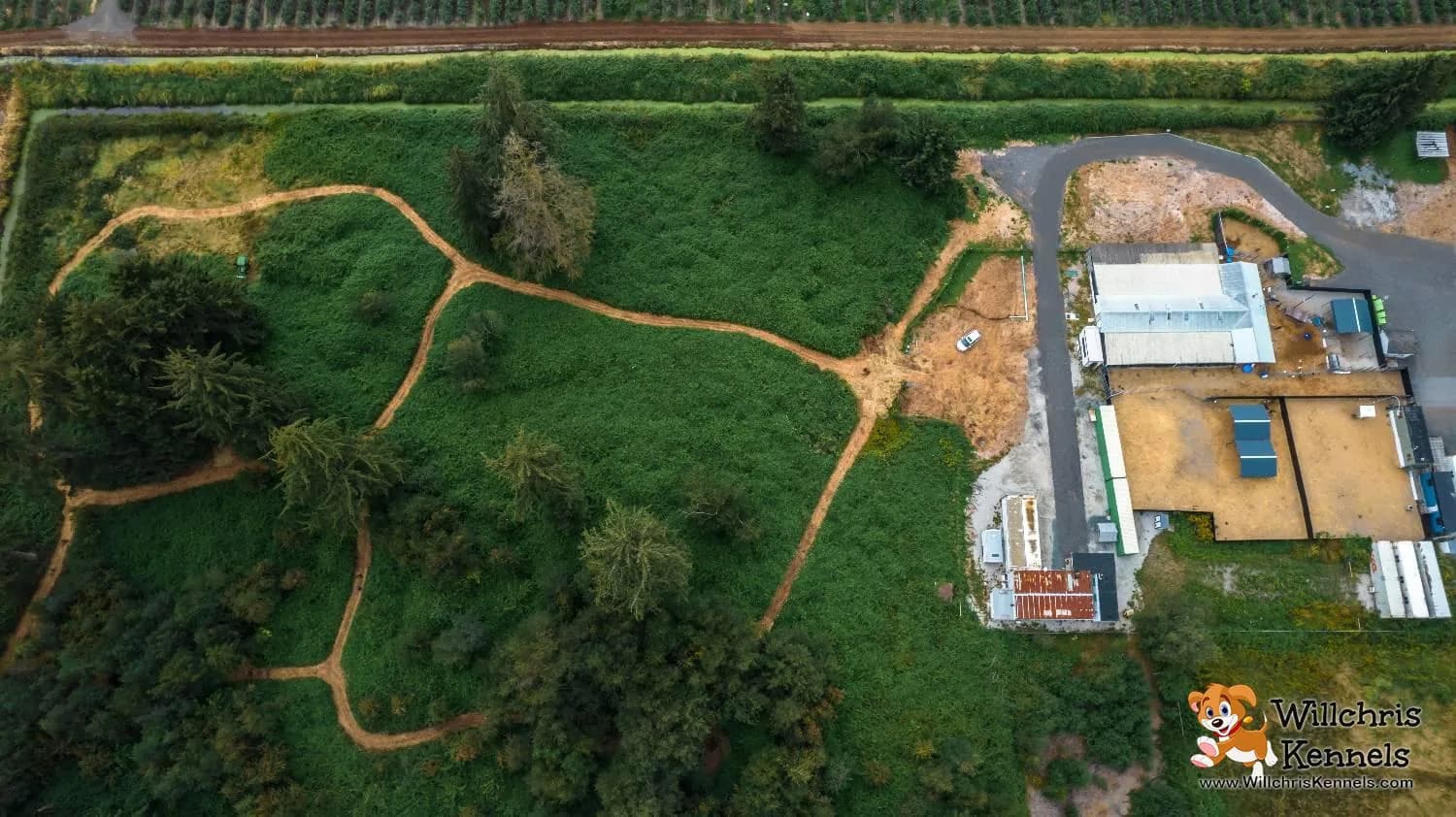 Scenic woodland trail at Willchris Kennels