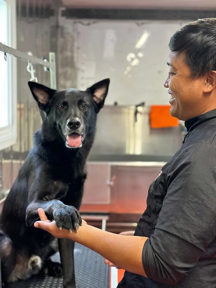 Dog enjoying a bath during grooming appointment